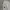 Nike Box Logo Bordir Jogger Pants photo 3