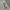 Nike Box Logo Bordir Jogger Pants photo 2