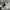 Nike Box Logo Bordir Jogger Pants photo 5