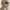 Dior Homme by Hedi Slimane Sunglasses photo 1