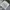 Vintage Y2K T-shirt Pria gray photo 1