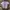 MLB babytee crop photo 1