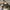 NIKE Air Jordan 1 Low Nothing But Net photo 2