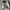 NIKE Air Jordan 1 Low Nothing But Net photo 1