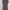 Vintage Midi dress Wanita brown photo 1