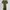Vintage Casual Midi dress Wanita green photo 1