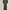 Vintage Casual Midi dress Wanita green photo 2