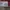 Vans Era Baker Kader photo 6