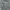 Sage Denim Art Ranger Vortex 19Oz redline selvege  photo 4