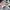 Air Max Axis Wolf Grey photo 6