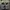 Nike Air Versitile 2 Black White photo 4
