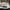 Puma Suede Bloc Ivory Glow photo 3
