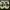 Puma Suede Bloc Ivory Glow photo 4