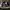 Adidas Forum Low Black White photo 1