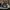 Adidas Forum Low Black White photo 3