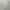 White Square Neck Fitted Bodycon Midi Dress photo 2