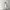 White Square Neck Fitted Bodycon Midi Dress photo 1