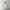 White Square Neck Fitted Bodycon Midi Dress