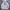 ABERCROMBIE WHITE HOODIE photo 1