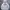 ABERCROMBIE WHITE HOODIE