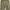 Y2k Roberto Cavalli Jeans Animal Skin Graphic photo 8