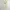 Y2k Morgan Top Sequin Sleeveless Trim Mesh Broken White photo 1