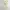 Y2k Morgan Top Sequin Sleeveless Trim Mesh Broken White