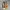 Converse john varvatos star player edition photo 3