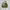 Vivienne Westwood Vintage Y2K Tote bag Wanita tan cream photo 1