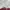 Vivienne Westwood Y2K Handbag Wanita tan red photo 5
