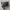 Vivienne Westwood Y2K Crossbody Bag Wanita black photo 4
