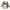 Coach COC Swagger Carryall Color Block Exotics Satchel Bag photo 3