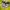 The North Face Gore-tex Rimba Cap photo 6