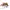 Tory Burch TB Britten Convertible Crossbody Tiramisu Bag