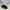 Vintage Shoulder bag Wanita black photo 3