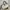 Coach Y2K Shoulder bag Wanita white brown photo 3