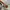 Coach Y2K Shoulder bag Wanita white brown photo 4