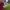 Nike Free Flyknit 5 0 photo 6