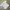 Jersey Template Admiral England photo 4