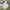 Jersey Template Admiral England photo 5