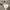 Jersey Template Admiral England photo 1