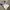 Jersey Template Admiral England