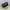 Coach Y2K Crossbody Bag Wanita black photo 4