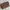 Coach Y2K Wallet Wanita brown photo 3