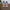 New Balance 996 Re eengineered photo 5