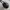 Versace Vintage Crossbody Bag Wanita black photo 2