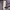 Cp Company Camouflage Jacket Goggle photo 8