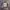 Cp Company Camouflage Jacket Goggle photo 7