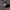 Cp Company Camouflage Jacket Goggle photo 6