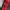Manhattan Portage Sling Bag photo 4